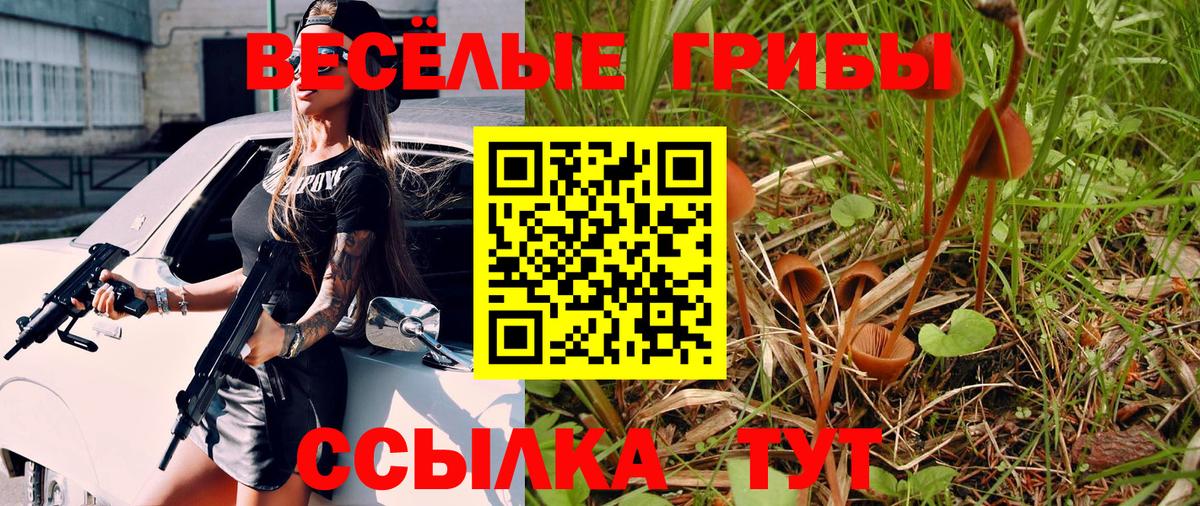 Галлюциногенные грибы мухоморы Чайковский