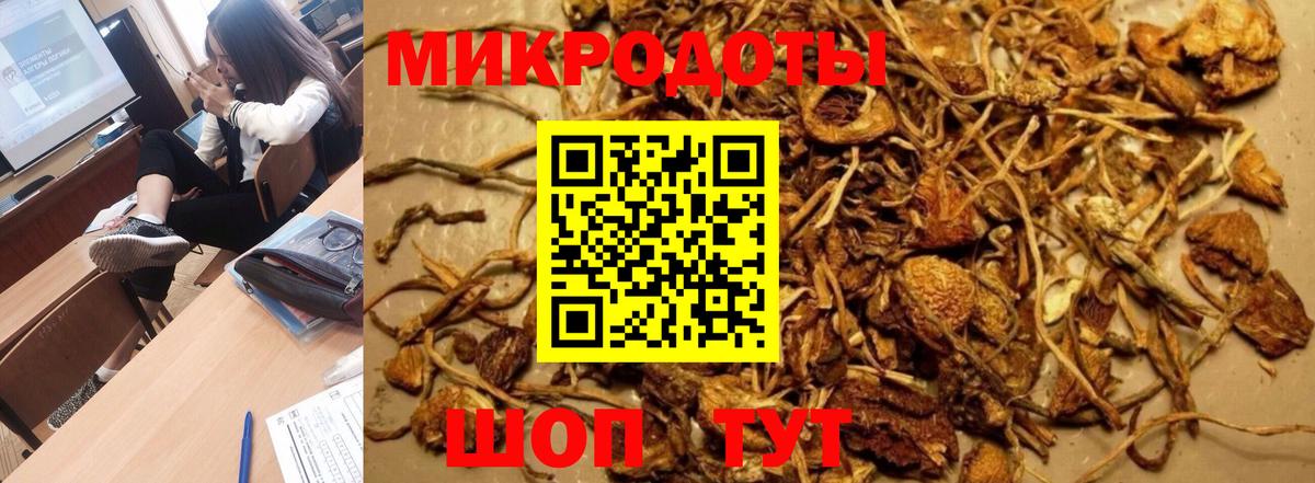 Чайковский  наркотики  Псилоцибиновые грибы ЛСД  Вход с VPN  Галлюциногенные грибы прущие грибы 